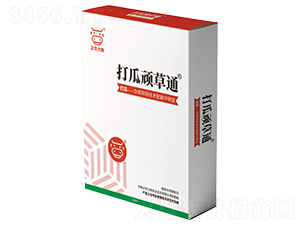 ����B��ͨ-���A����