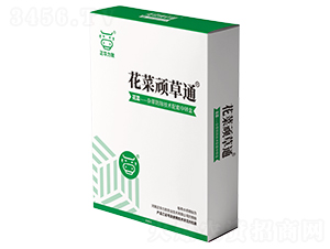 �����B��ͨ-���A����