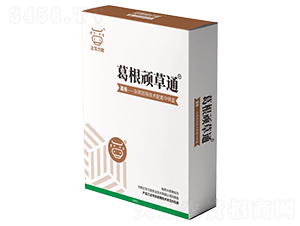 ����B��ͨ-���A����