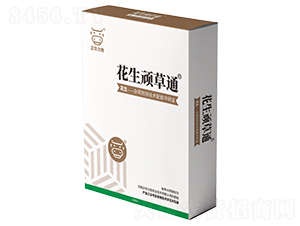 �����B��ͨ-���A����