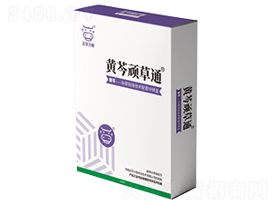 �S���B��ͨ-���A����