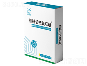 �ɘ�(sh��)��ɼ�B��ͨ-���A����