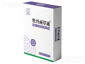 ĵ���B��ͨ-���A����