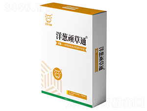 ���[�B��ͨ-���A����