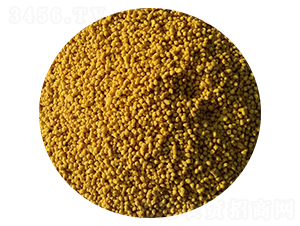 �����w�����Sɫ��-���M(m��n)�}(c��ng)-�S����