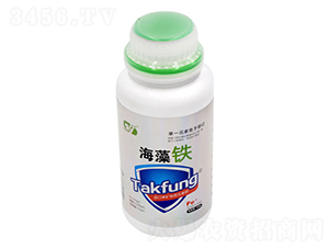 �����F-���|����