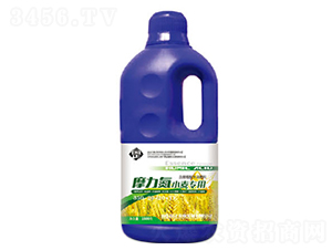 Ħ����С����(zhu��n)��׷��-������