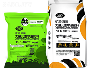 �������ʹ���Ԫ��ˮ�ܷ�13-6-40+TE-�ֵϾ�