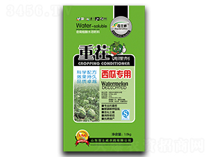 ���ό����ز��{(di��o)�턩-��ʿ��