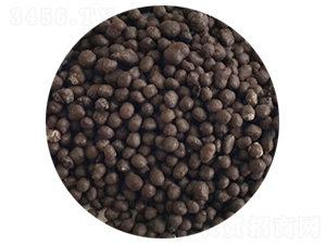 ��(f��)�Ϸ�-ʢ�����l(xi��ng)