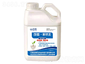 ΢�������-ï΢���࿹��-��ï�r(n��ng)�I(y��)