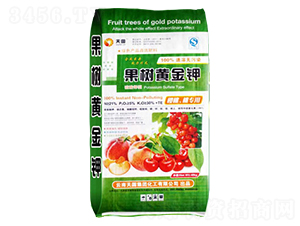 ����(sh��)�S���-�����ʘI(y��)