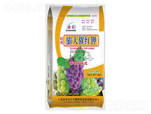 ���߼t�-�����ʘI(y��)