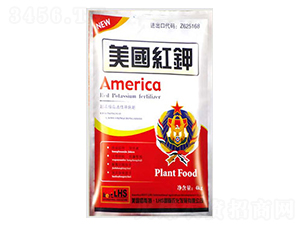 ����(gu��)�t�-�����ʘI(y��)