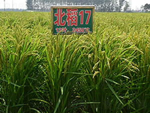 ����17̖-ˮ���N��-���ϷN�I(y��)