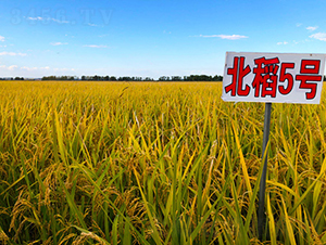 ����5̖-ˮ���N��-���ϷN�I(y��)