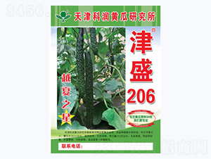 ��ʢ206-�S�ϷN��-�Ɲ��N�I(y��)