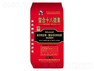 ����ʮ��΢�أ��t��-�A�I����