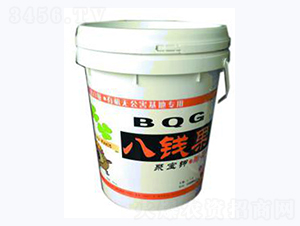 ���X���ی��-�A�I����