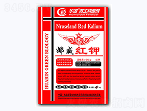 �����t�-�A�I����