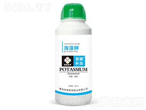 �����-��΢�a(b��)��-���S˹�طʘI(y��)