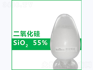 55%�ۄ���������-�����Ƽ�