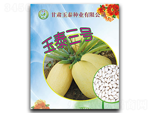 玉泰三號(hào)-西葫蘆種子-玉泰種業(yè)