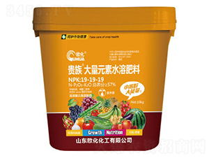 �F�����Ԫ��ˮ�ܷ���19-19-19-�W��