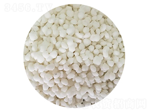 �Ȼ��@����ɫ���{(l��n)ɫ��-���S�Ƽ�