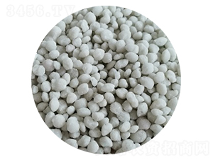 ���@����ɫ���{(l��n)ɫ��-���S�Ƽ�