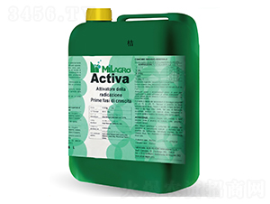 ����������-���h