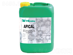 �����{(di��o)Ƥ�}-���h