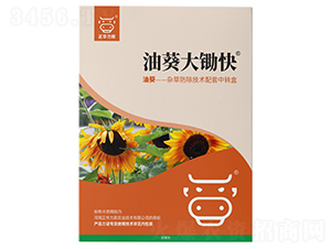 �Ϳ����z��-���A����