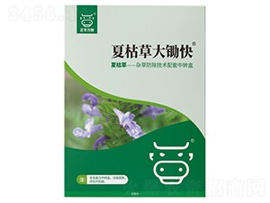 �Ŀݲݴ��z��-���A����