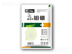 �߻����f��-�͎Ͷ�-һ���@