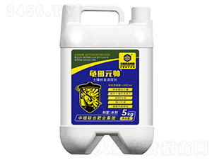 �����ޏ�(f��)�{(di��o)�턩-����Ԫ��-��ֲ(li��n)�ϼ��F(tu��n)