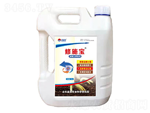 ��ʩ���}�A���ޏ̈́�-�{��