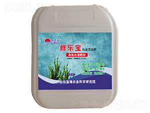 �ޘ������嵰�׷�-�{��