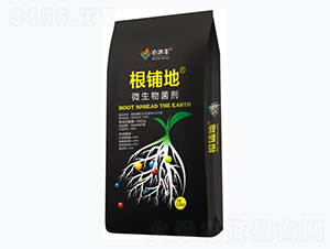 ��䁵�΢�������-�����S