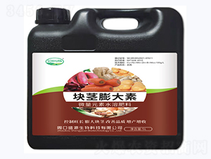 �K�o�����-ʢԴ