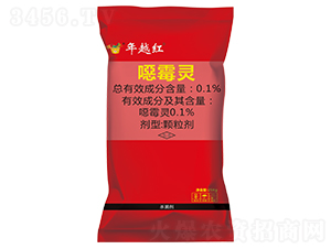 ��ù�`������ˎ��-��Խ�t-�����S����