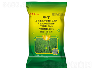 �S����������ˎ��-������-�����S����