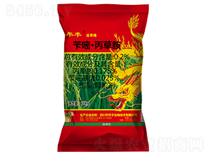 �S�ס����ݰ�������ˎ��-����¡-�����S����