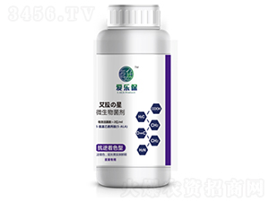 ������ɫ��΢�������-�ۘ���-�����