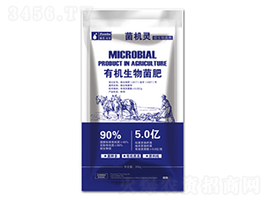 �ЙC�������-���C�`-��������