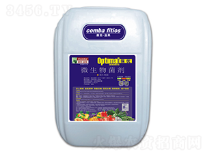 ΢�������-����(y��u)-��������