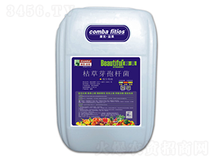 ΢�������-����-��������