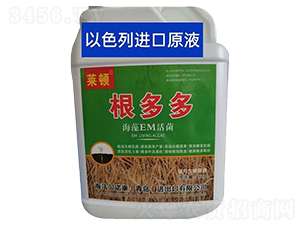 ����EM���-�����-�R�D