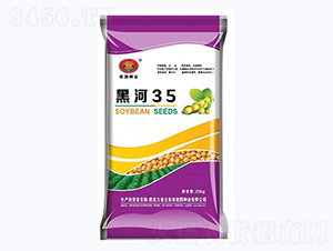 黑河35-大豆種子-宏圖種業(yè)