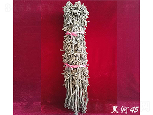 黑河45-大豆種子-宏圖種業(yè)